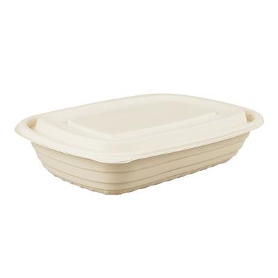 China Eco Cornstarch Waterproof Biodegradable Disposable Food Tray With Cover for sale