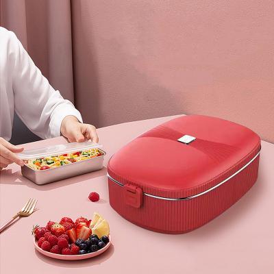 China 2022 New Outdoor Hot Sale Portable Electric Lunch Box For Car And Home Use for sale