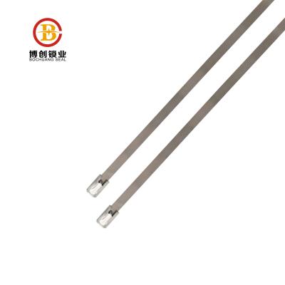 China Trash proof BCS105-tinplate steel metal strap gaskets pull tight metal strap gaskets for tanks metal gasket for sale