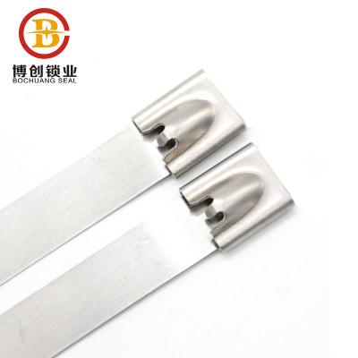 China Anti Corrosion Fag High Tensile Non-flammability Rust Strength BCST001-Made In China Stainless Steel Inexpensive High Quality Universal Tie Type Cable Tie for sale