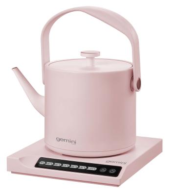 China Best Brand Cordless Special Design Easy To Clean Stylish Multi-temperature Zone Cordless Kettle For Home Use for sale