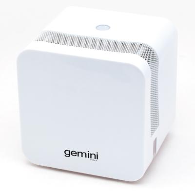 China Household Cheap Price Hot Sale Mini Dehumidifier For Outdoor Ionic Air Purified Dehumidification for sale