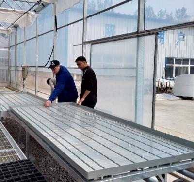 China Easy For Operation Hydroponic Growing Systems Rolling Bench Greenhouse Flood Trays Greenhouse Benches for sale