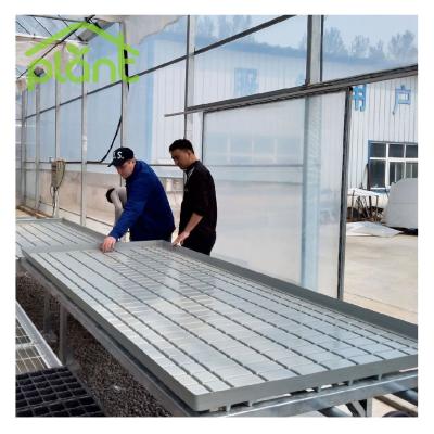 China Easy For Operation Greenhouse Nursery Bed Hydroponics Rolling Ebb and Flow Seeding Bench Tray Table Seed Bed for sale