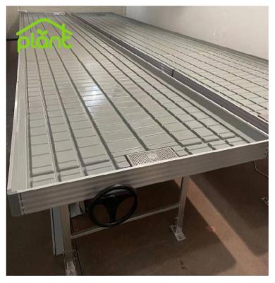 China Easy for Operation 4x8ft Flood Tray Rolling Benches Flow Tables Ebb and Flow Tables Elevating Bench for sale