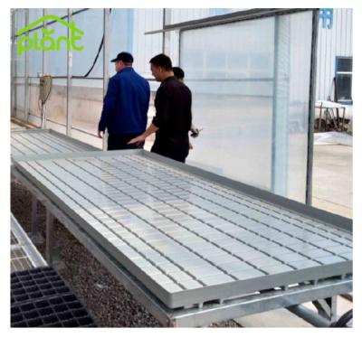 China Easy For Operation Hydroponics Greenhouse Adjustable Seedling Rolling Bench Grow Table Rolling Bench for sale