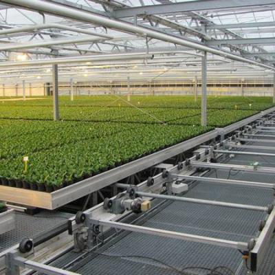 China Easy For Operation Hydroponics Rolling Benches For Commercial Greenhouse Benches for sale