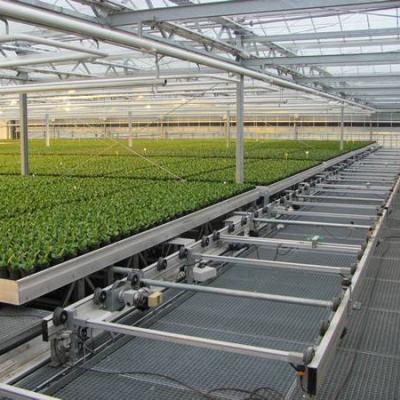 China Easy For Operation Mobile Hydroponic Nursery Crib Logistics Hot Selling Removable Nursery Bench for sale