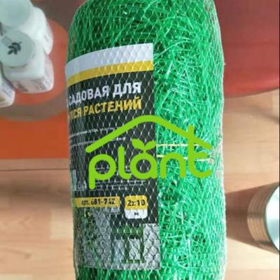 China Elevate Fence For Pea Rolled PP Polypropylene Grid Support Net For Gardens And Vegetables for sale