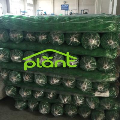 China Raise Barrier for Pea Plant Support Vines Mounting Garden Trellis Netting for sale