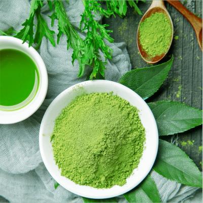 China China Originated Tea Powder Amuse Ruests Ceremonial Gift Edible Infusions Tea Powder Matcha for sale