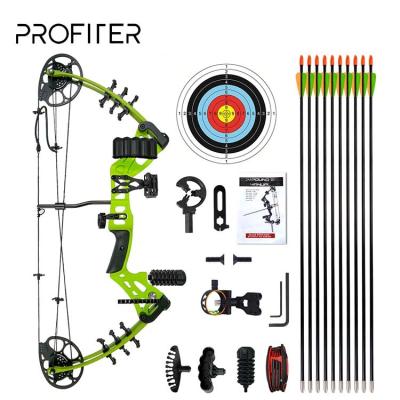 China Archer Hard Archery Carbon Adjustable Composite Fiber Arrows Aluminum Alloy Bow Compound Bow With Accessories for sale