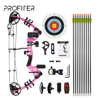 China Aluminum Alloy Carbon Fiber Archery Compound Archery Set Powerful Bow Training Outdoor for sale