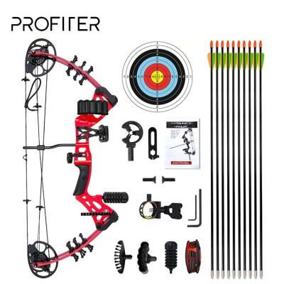 China Aluminum Compound Alloy Bow Professional 15-45 Pound For Outdoor Compound Pulley Bow for sale