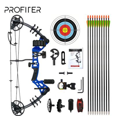 China Aluminum Alloy Bow Carbon Fiber Archery Compound Outdoor Training Powerful Archery Set for sale