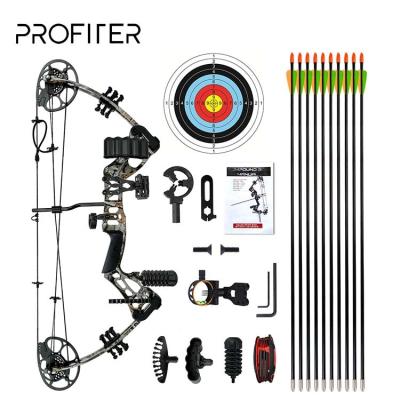 China Aluminum Alloy Bow Carbon Fiber Archery Compound Outdoor Training Powerful Archery Set for sale