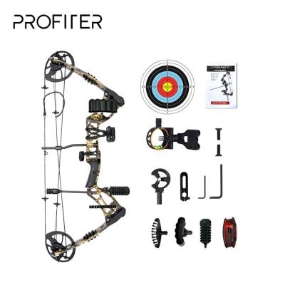 China Professional Aluminum Alloy Outdoor Activities Bow Archery Equipment Set For AdultTo Exercise Concentration And Patience for sale