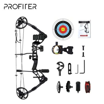 China Aluminum Alloy Manufacturer Wholesale Shooting Sports High Speed ​​Archery Compound Bow For Strength Training for sale