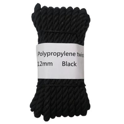 China Cost Effective PP Accept Custom 12mm*8m Black Polypropylene Twisted Rope for sale