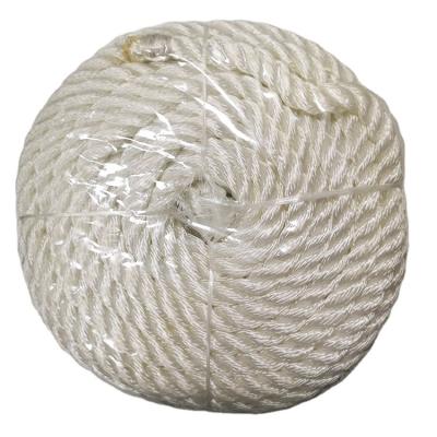 China Polyester Factory Direct Sale Customized 3 Strand 10mm*30.5m White Polyester Twisted Rope for sale