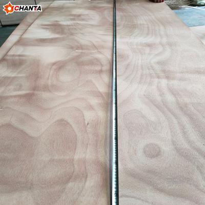 China Modern factory direct sales competitive price 18mm commercial marine plywood okoume for sale