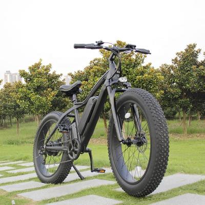 China Aluminum Alloy Disc Brake 26inch Ebike Comfortable Fat Tire 1000watt 500w 750w 48v 7speed Mountain Electric Bicycle Germany for sale