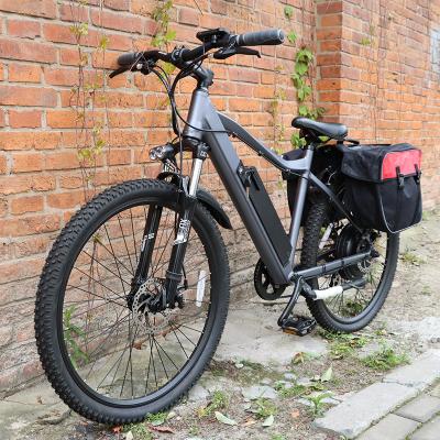 China Aluminum Alloy 350 Watt 750w 1000w 36v48v Speed ​​E Bike 45 Kmh Ebike Rear Two Seat Electric Bicycle Retro Powerful Vintage E Bike Long Range for sale