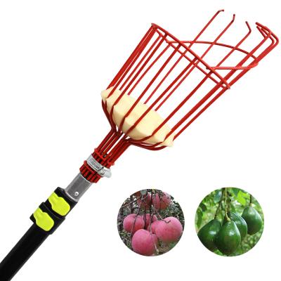 China Adjustable Fruit Harvester Extendtool Long Handle Fruit Picking Tools Telescopic Pole Garden Supplies for sale