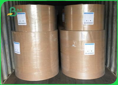 China Paper Plate Raw Material PE Coated Brown Kraft Plain Paper 700mm Coils for sale