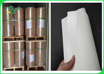 China 300gsm Ivory Board + 15g PE Coated Paper With For Making Lunch Box for sale