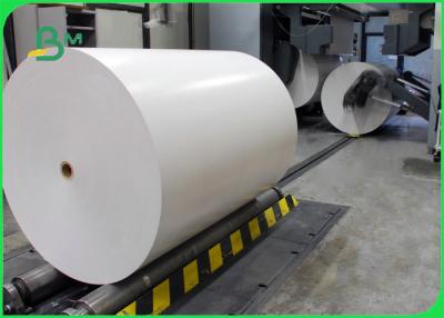 China 160 gestrichenes Papier riesiger Rolls PET 180GSM +15g für Papierschale 850 - 900 Millimeter-Breite zu verkaufen