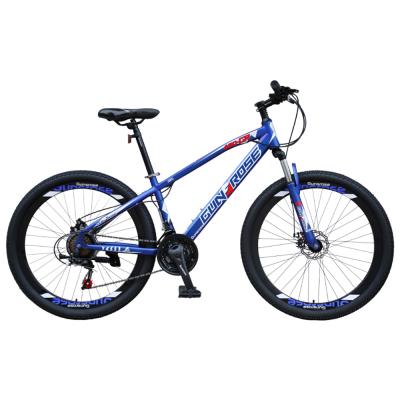 China cheap adult aluminum alloy bike 29 mountain bike with alloy fame mountain bike for sale