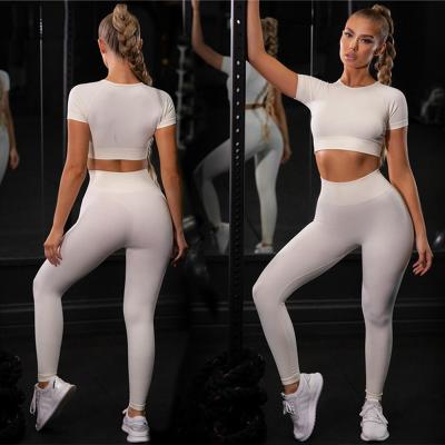 China Breathable Top Selling Top Selling Sports Apparel Short Sleeve Pants Yoga Pants Set 2 Piece Fitness Suit For Women Active Wear Seamless Set for sale