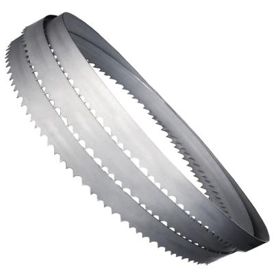 China China Supplier Cutting Band Saw Blade 10mm for sale