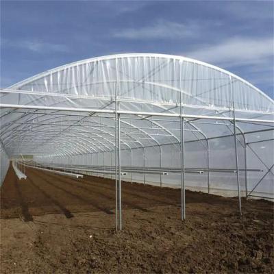 China Wuxi Zewo Agricultural High Quality 2023 Single Span Tunnel Plastic Sheet Greenhouse for sale