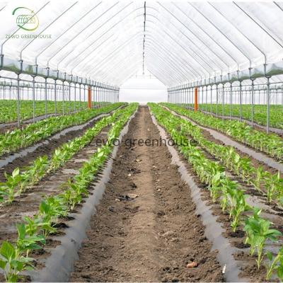 China 2023 Wuxi Zewo Agricultural High Quality Plastic Sheet For Single Span Greenhouses for sale