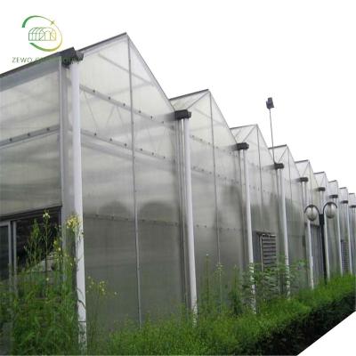 China European Style Vegetables And Flowers Polycarbonate Polycarbonate Sheet Greenhouse Green House Planting for sale