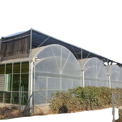 China Planting Vegetables And Flowers European Style PC Sheet Greenhouse With Farm Equipment for sale