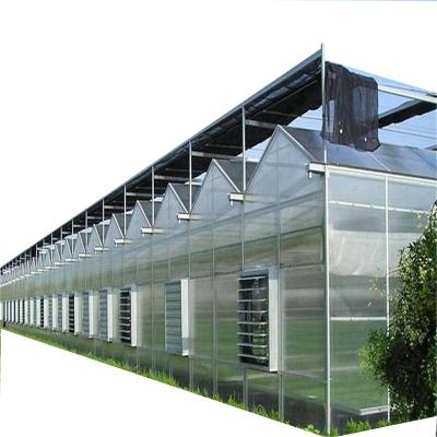 China Commercial Leaf Greenhouse PC Vegetable And Flower Planting For Horticulture for sale