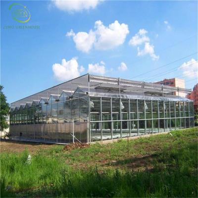 China Planting Vegetables And Flowers Customized Float Cavity Tempered Glass Insulated Greenhouse / Aluminum Green House With Cooling System / Interior Shading System For A for sale