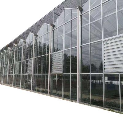 China Agricultural Greenhouses Planting Vegetables And Flowers Multi-Span Frame Glass Greenhouse Vegetable Growing Structure Long Life Galvanized Steel Stable Flower for sale