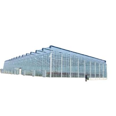 China Planting Widely Used Economic Garden Vegetables And Flowers Restaurant Glass Greenhouse for sale