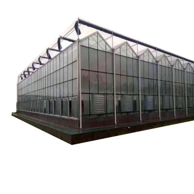 China Planting Vegetables And Flowers Greenhouse Agricultural Greenhouse Glass Glass Voucher Prices for sale