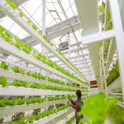 China Planting Vegetables and Flowers Agriculture Modern Multispan-Glass Greenhouse with Hydroponics System for Farm for sale