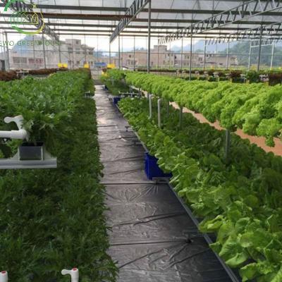 China Planting Hydroponic Vegetables and Flowers Grow Lettuce Herb Hydroponics Growing System Leafy Vegetables Kit Water Culture Garden Plant for sale