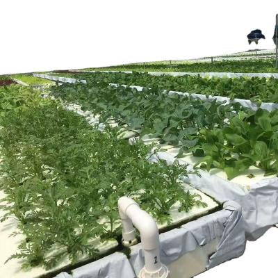 China Planting Hydroponic Vegetables and Flowers Grow Lettuce Herb Hydroponics Growing System Leafy Vegetables Kit Water Culture Garden Plant for sale