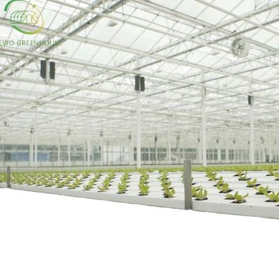 China Planting Vegetable and Flower System Smart Home Agricultural Hydroponic Vertical Growing Hydroponics Indoor System for Lettuce for sale