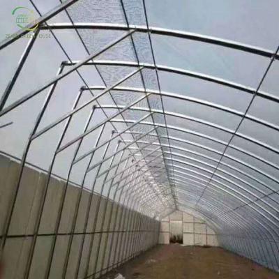 China Galvanized Steel Pipe Structure Greenhouse Hot DIP Vegetable And Flower Planting for sale