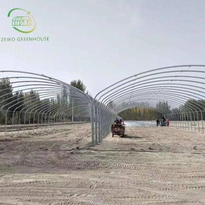 China Planting Vegetables And Flowers Low Price Large Size Galvanized Steel Pipe Multi-span Cultivation Hydroponics System Film Greenhouse For Agriculture for sale