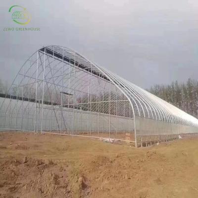 China Planting Vegetables And Flowers Scaffolding Greenhouse With Low Price Galvanized Mild Carbon Steel Pipe for sale